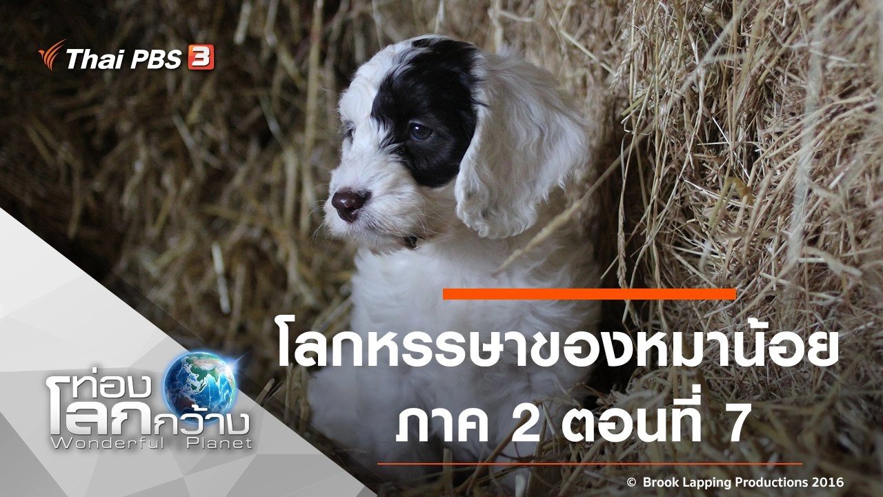 โลกหรรษาของหมาน้อย ภาค 2 ตอนที่ 7