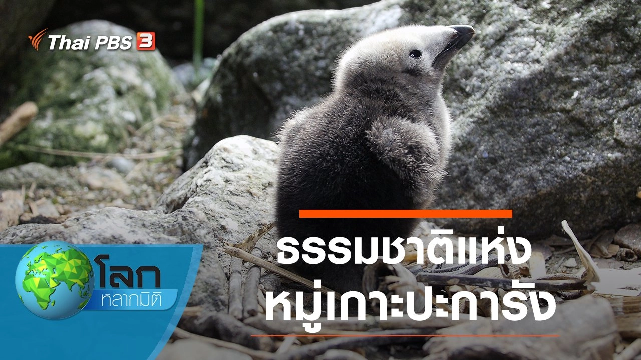 ธรรมชาติแห่งหมู่เกาะปะการัง