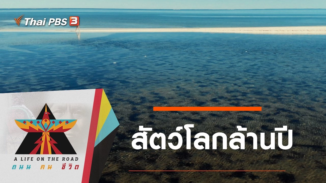 สัตว์โลกล้านปี