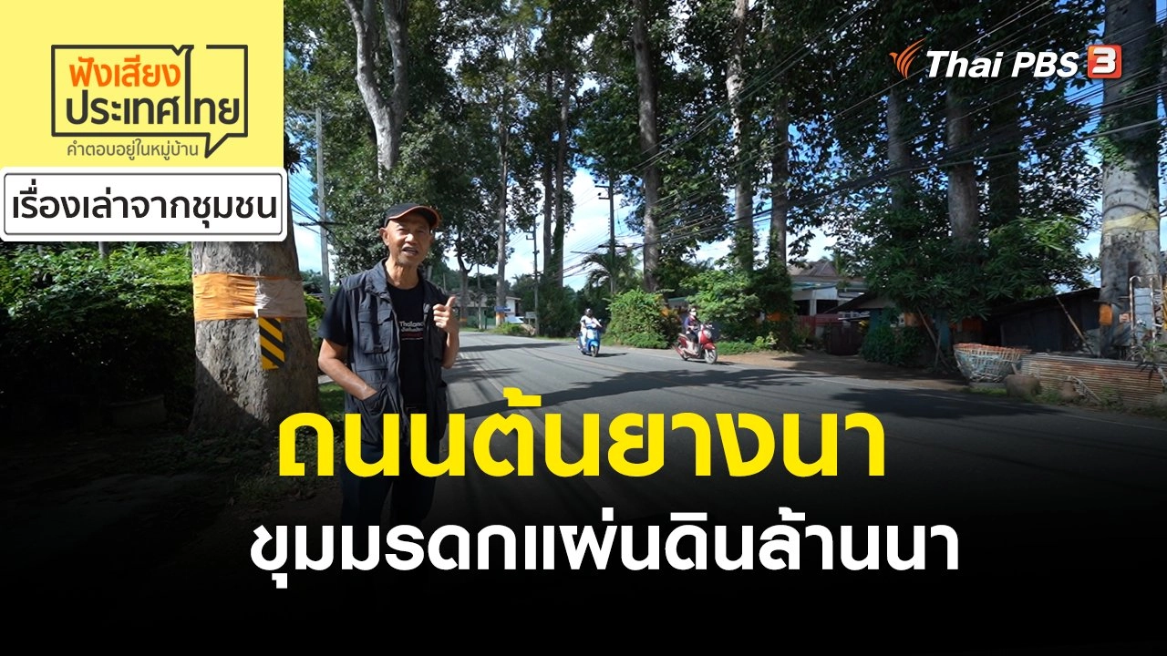 ถนนต้นยางนา ขุมมรดกแผ่นดินล้านนา