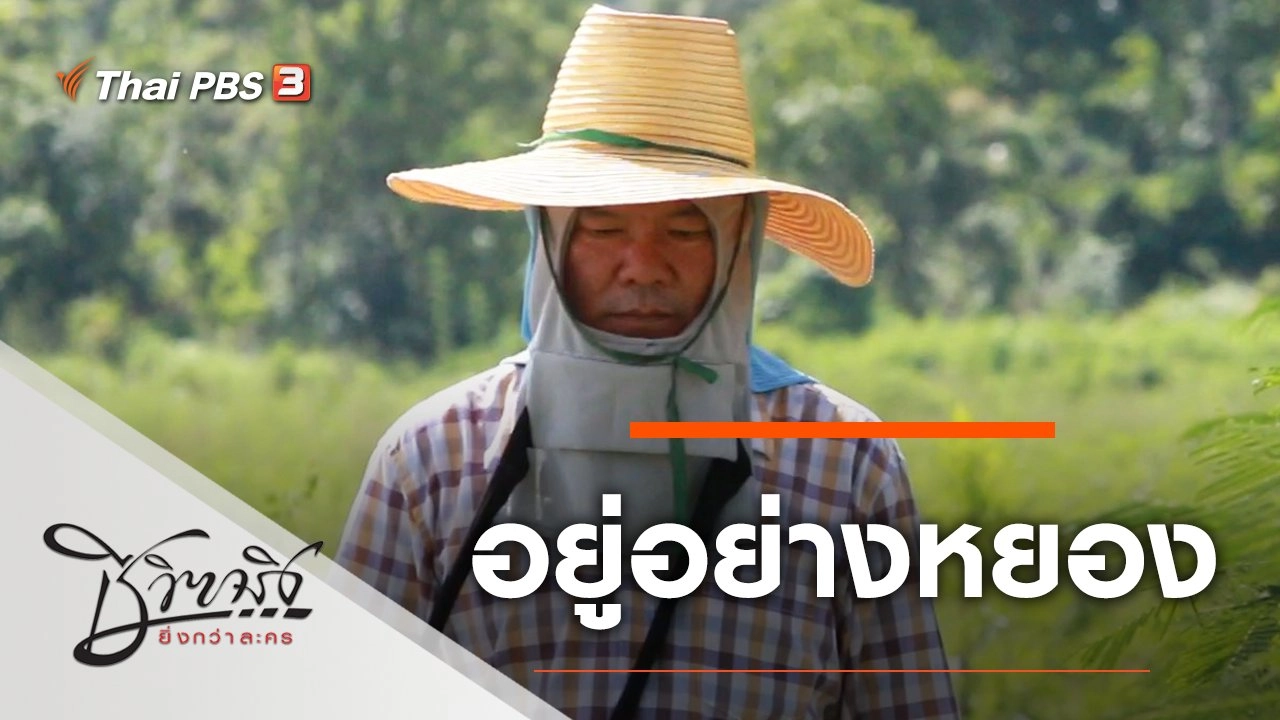 อยู่อย่างหยอง