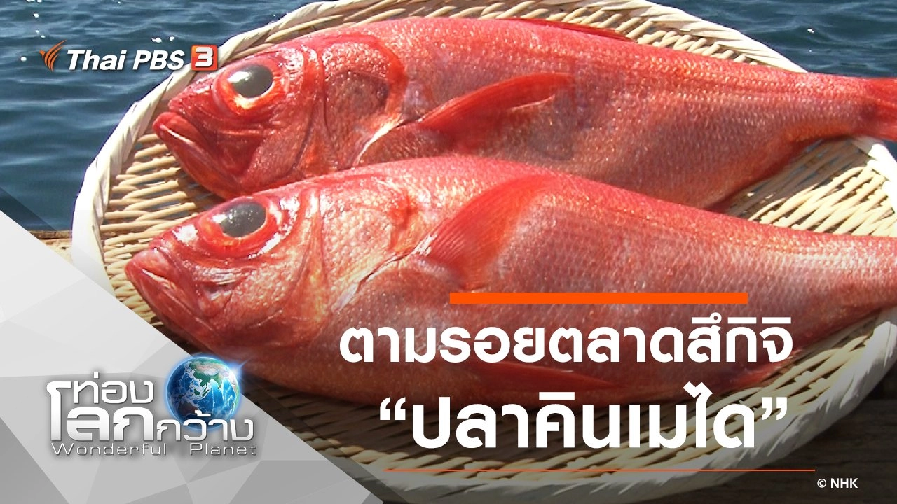 ตามรอยตลาดสึกิจิ ตอน ปลาคินเมได และหัวไชเท้าญี่ปุ่น