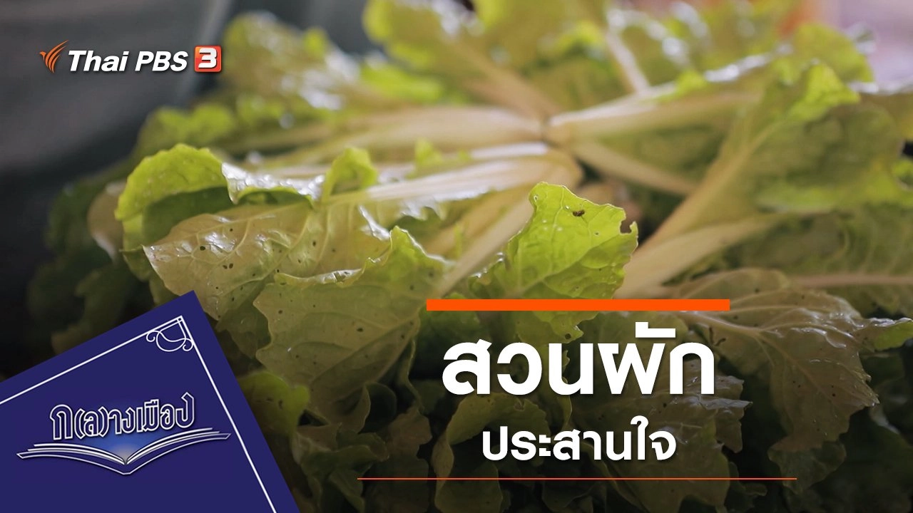 สวนผักประสานใจ