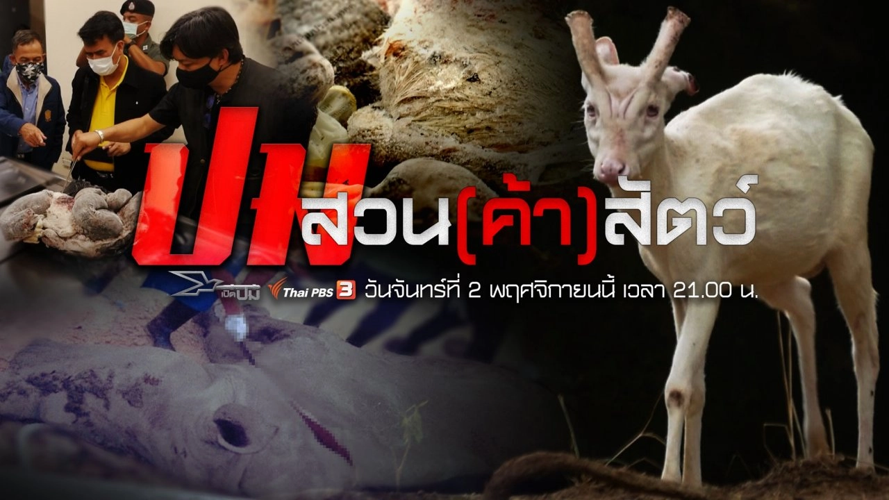 ปมสวน(ค้า)สัตว์