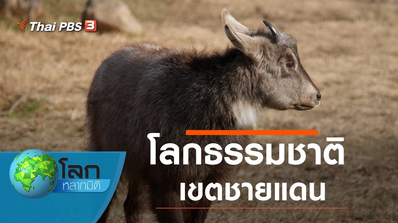 โลกธรรมชาติเขตชายแดน