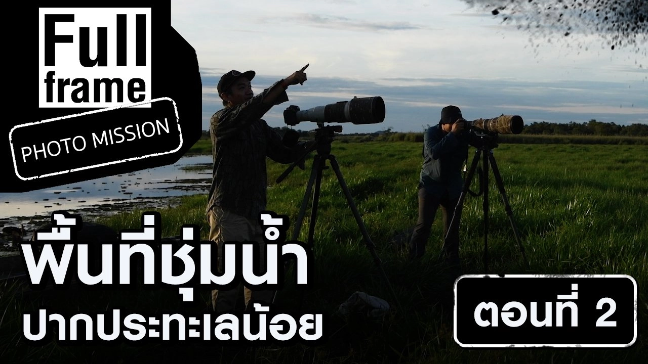 พื้นที่ชุมน้ำปากประ ทะเลน้อย ตอนที่ 2