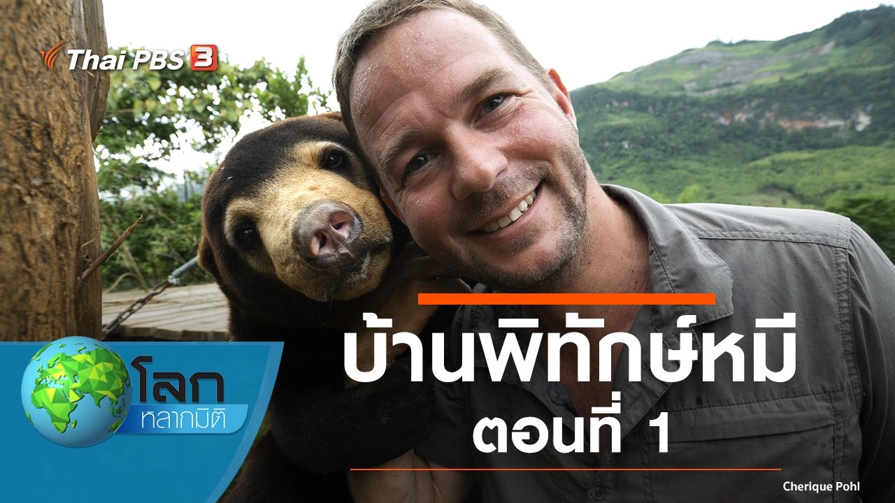 บ้านพิทักษ์หมี ตอนที่ 1