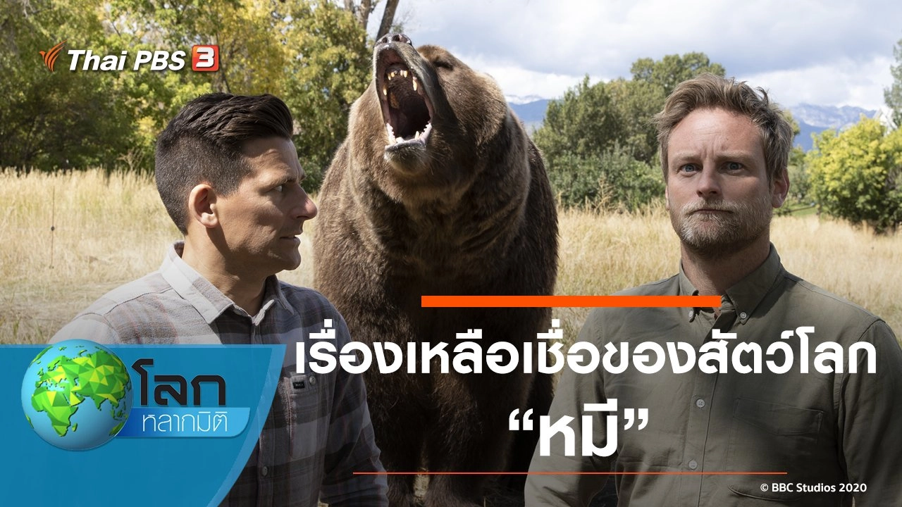 เรื่องเหลือเชื่อของสัตว์โลก ตอน หมี