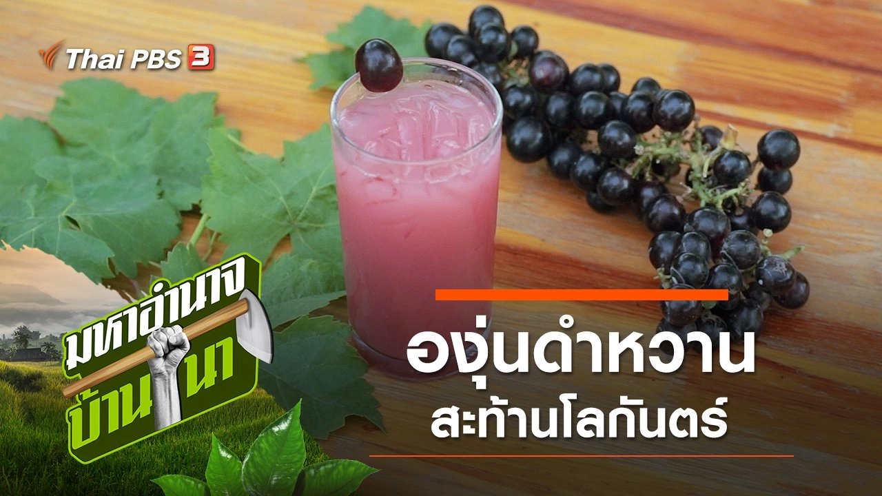 องุ่นดำหวาน สะท้านโลกันตร์