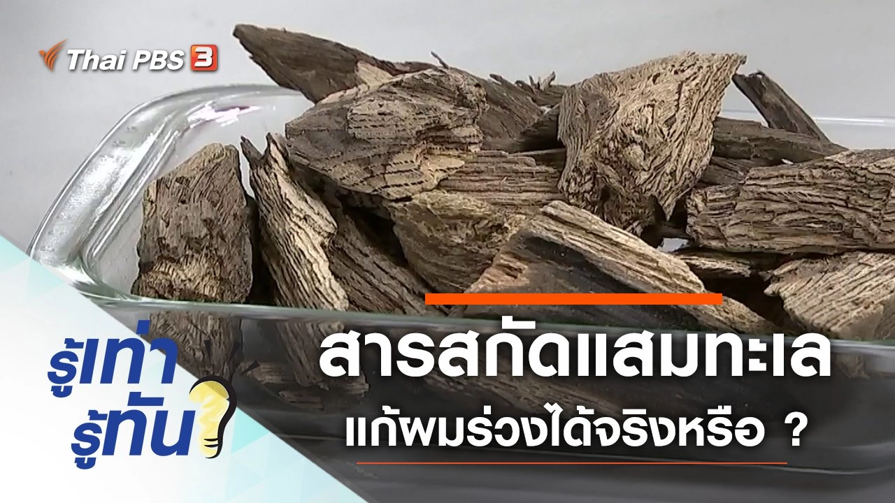 สารสกัดแสมทะเล แก้อาการผมร่วงได้จริงหรือ ?