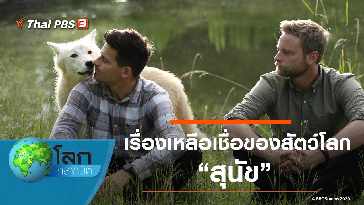 เรื่องเหลือเชื่อของสัตว์โลก ตอน สุนัข