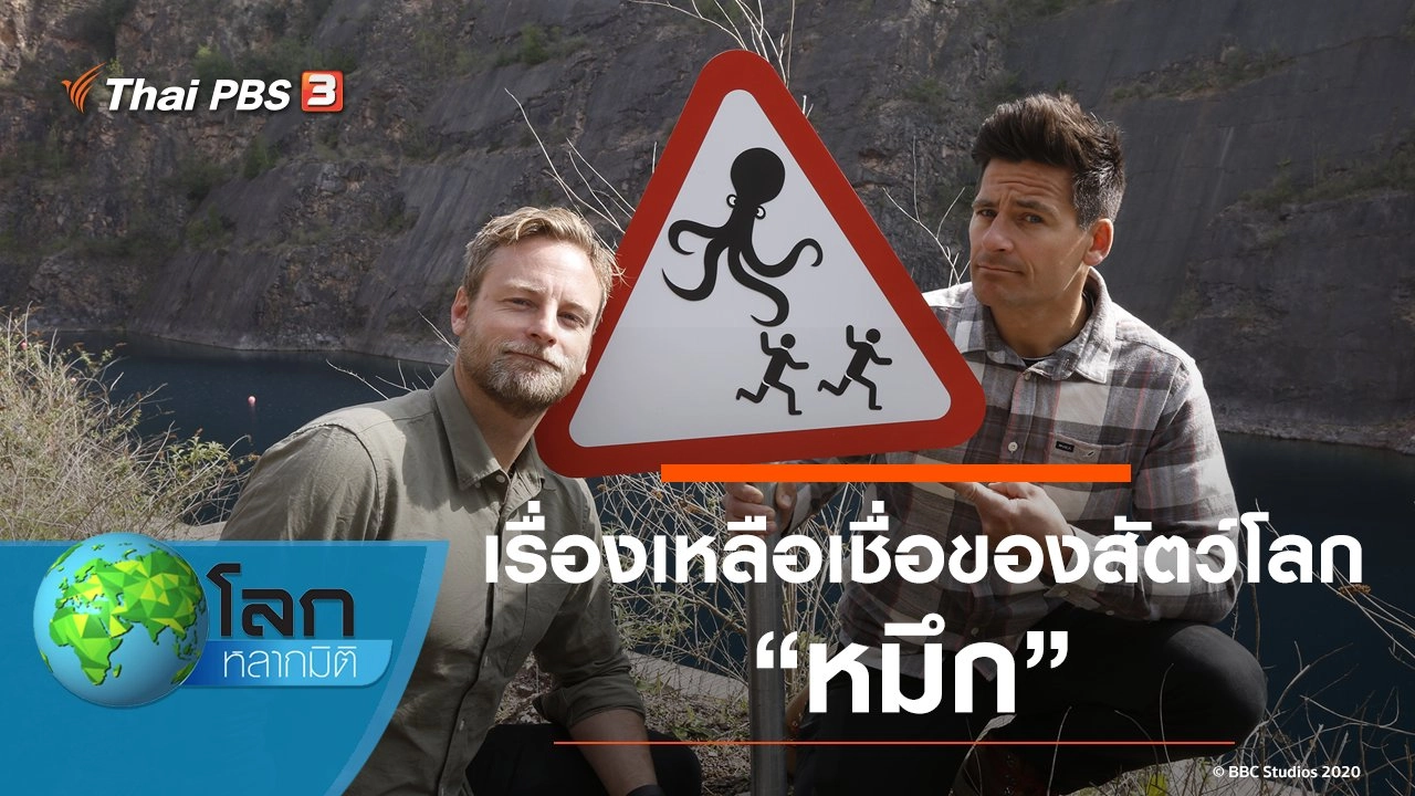 เรื่องเหลือเชื่อของสัตว์โลก ตอน หมึก