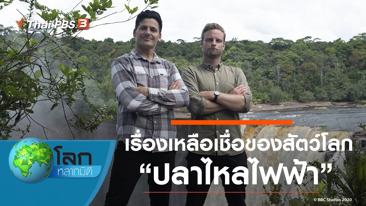 เรื่องเหลือเชื่อของสัตว์โลก ตอน ปลาไหลไฟฟ้า