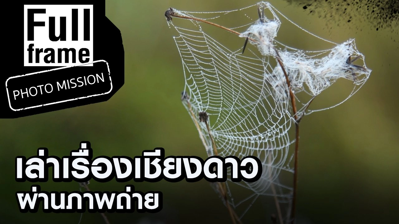 ทุ่งน้ำเชียงดาว ตอนที่ 2