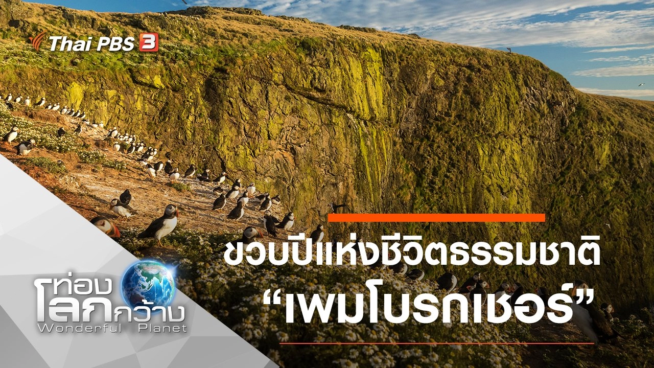 ขวบปีแห่งชีวิตธรรมชาติ ตอน เพมโบรกเชอร์