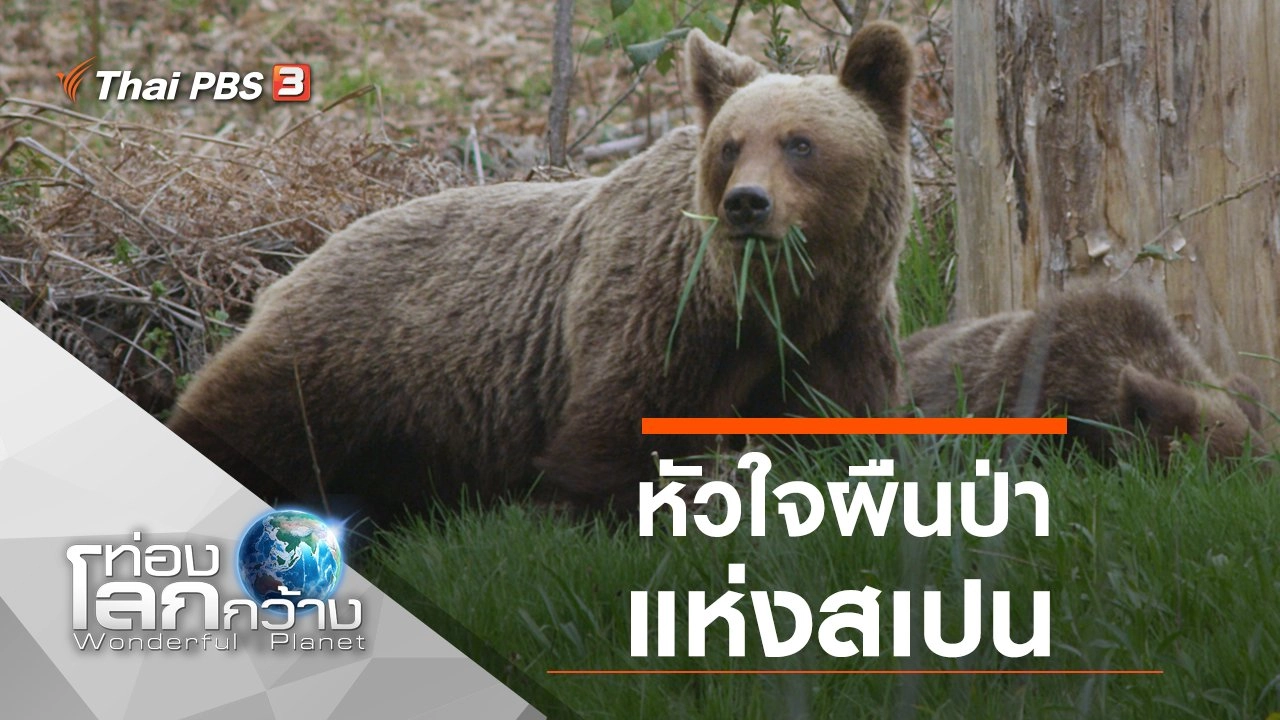 หัวใจผืนป่าแห่งสเปน