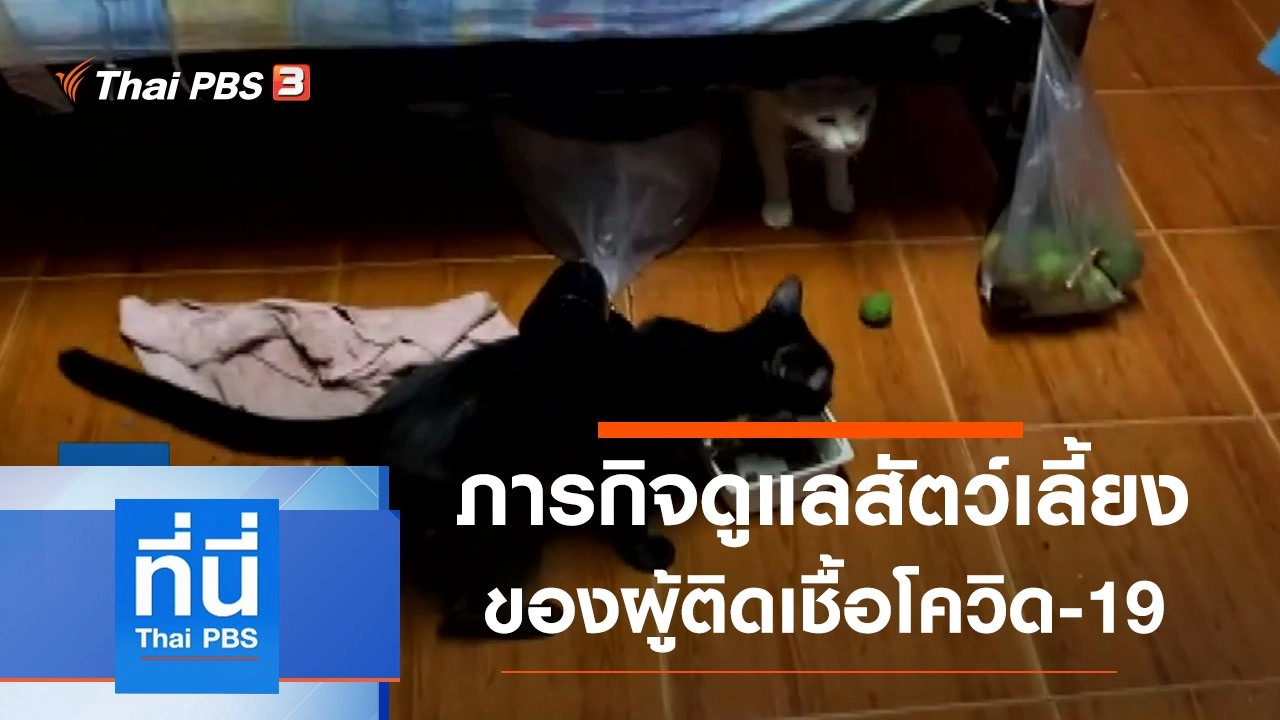 ประเด็นข่าว (19 พ.ค. 64)