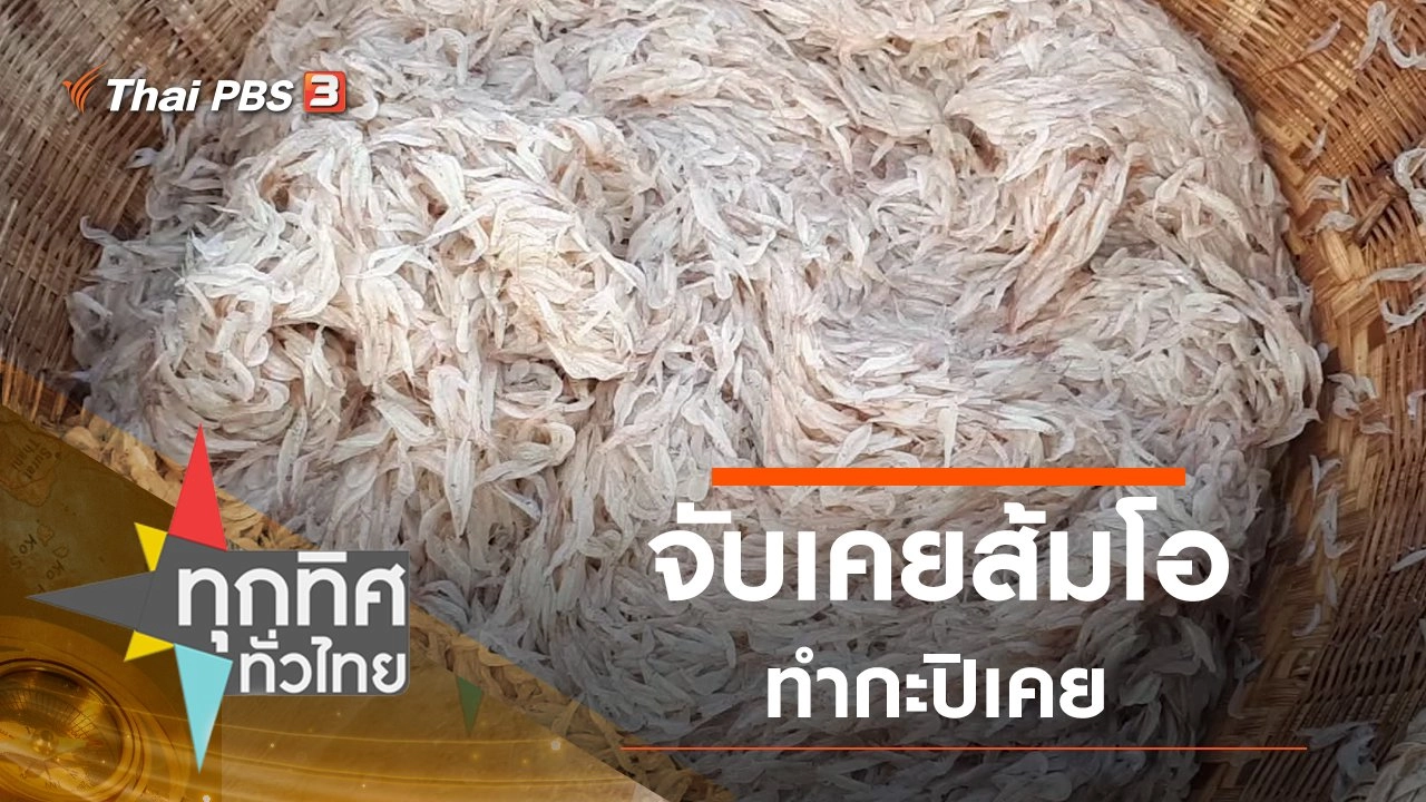 จับเคยส้มโอริมหาดทำกะปิเคย