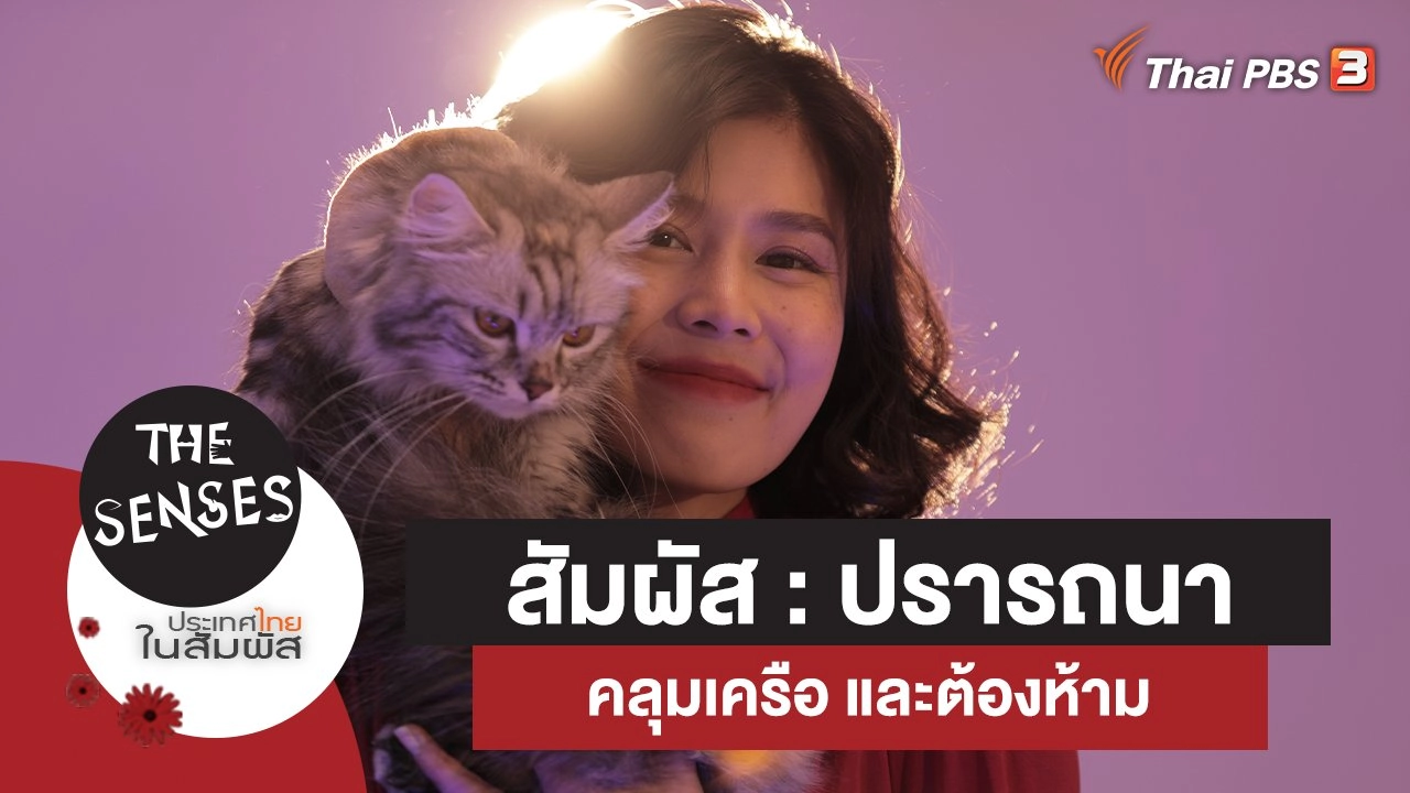สัมผัส : ปรารถนา คลุมเครือ และต้องห้าม