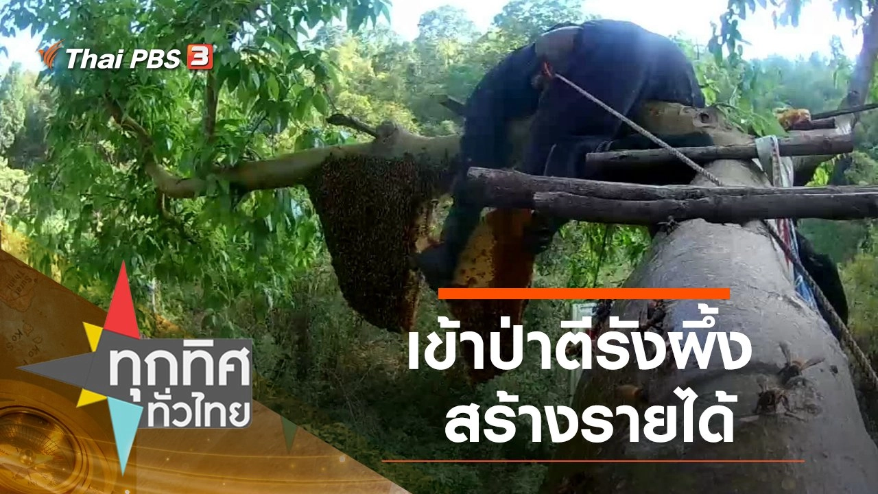 เข้าป่าตีรังผึ้งสร้างรายได้