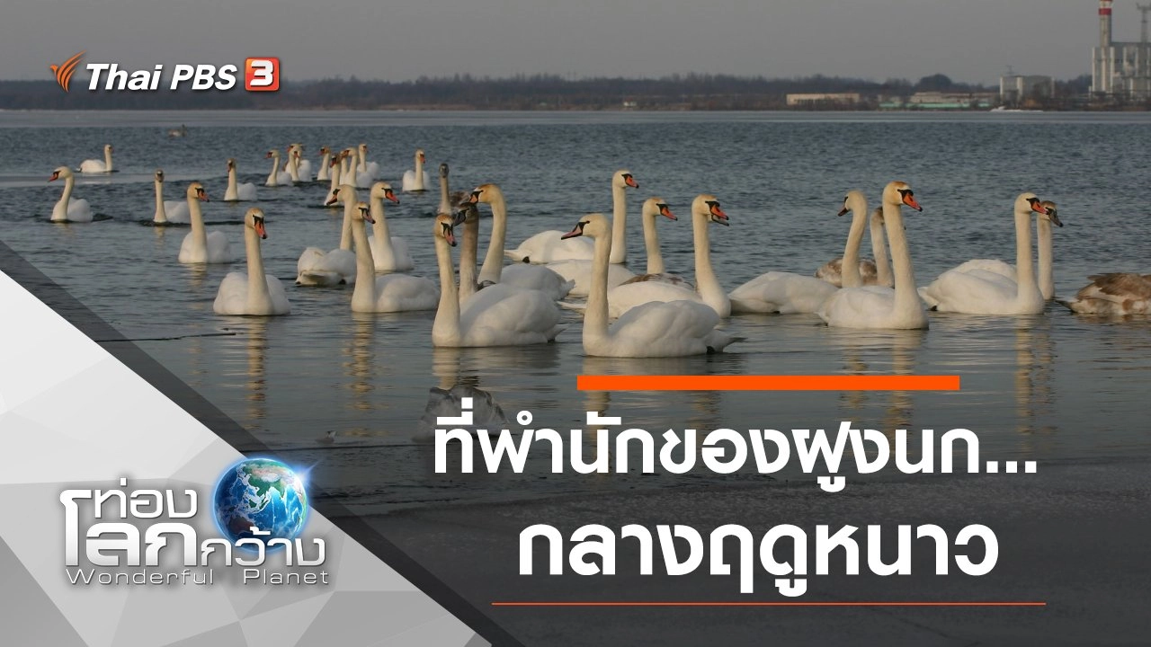 ที่พำนักของฝูงนก...กลางฤดูหนาว