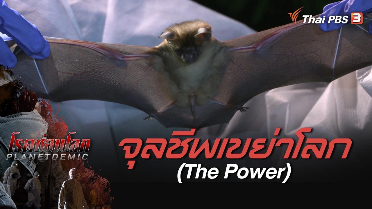 โรคซ่อนโลก