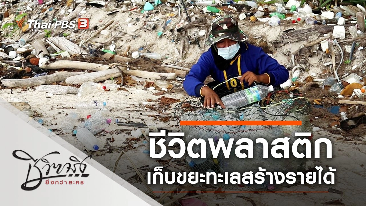 ชีวิตพลาสติก