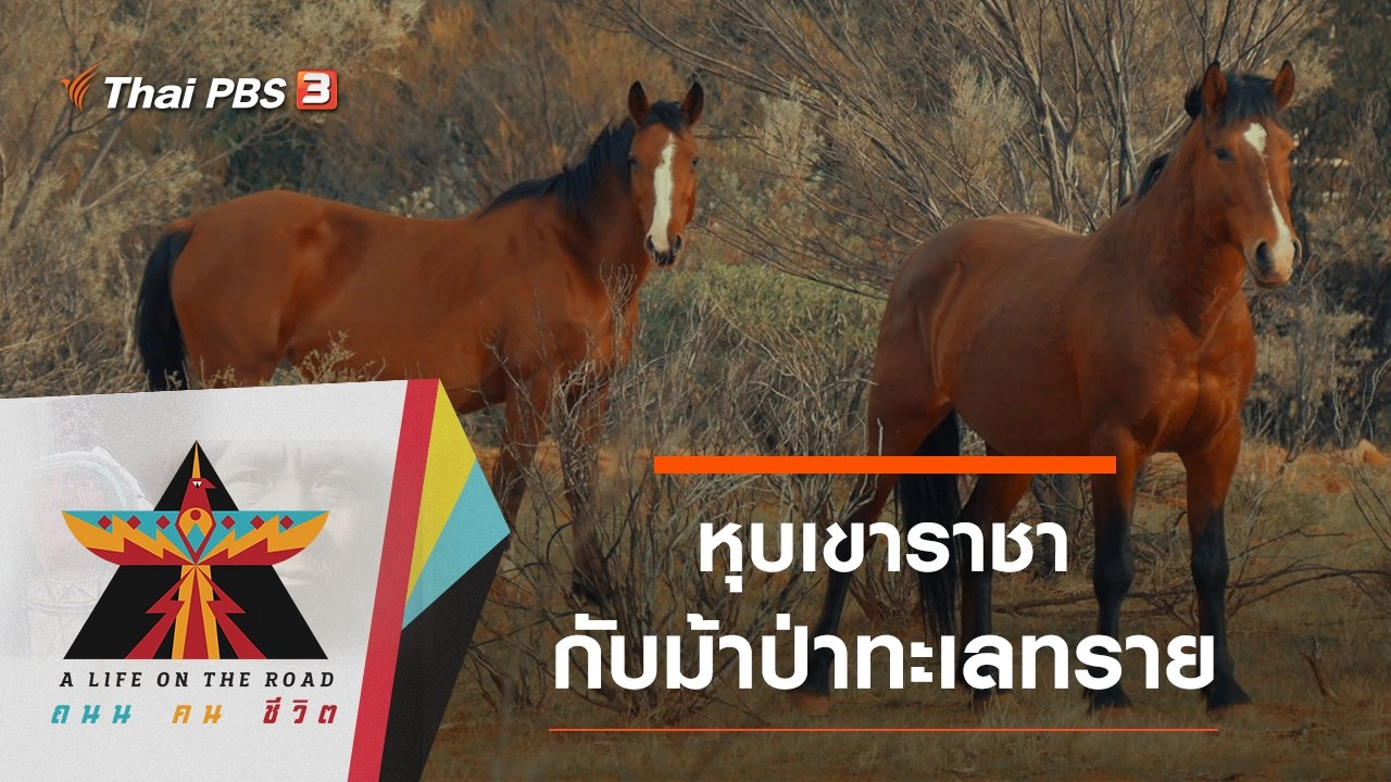 หุบเขาราชากับม้าป่าทะเลทราย