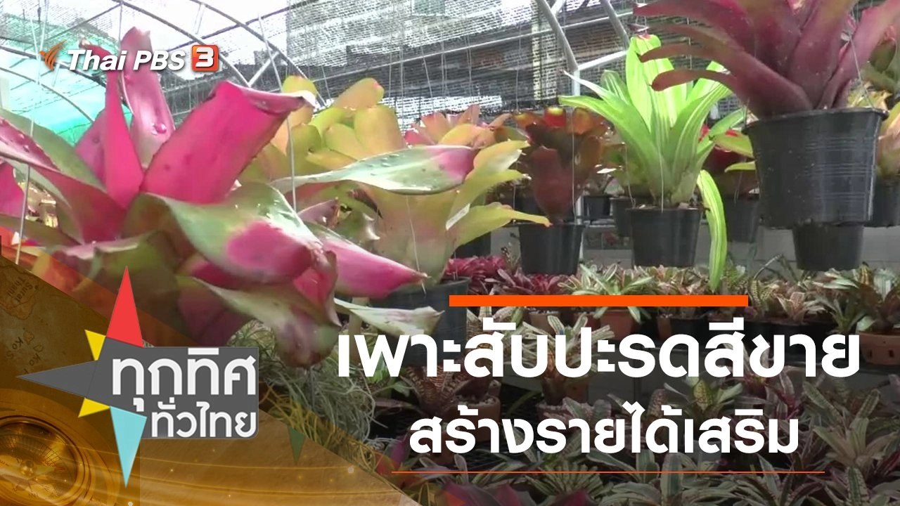 ทุกทิศทั่วไทย