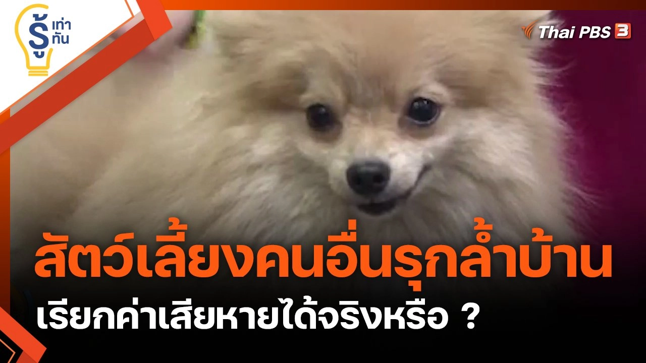 สัตว์เลี้ยงคนอื่นรุกล้ำบ้าน เรียกค่าเสียหายได้จริงหรือ ?