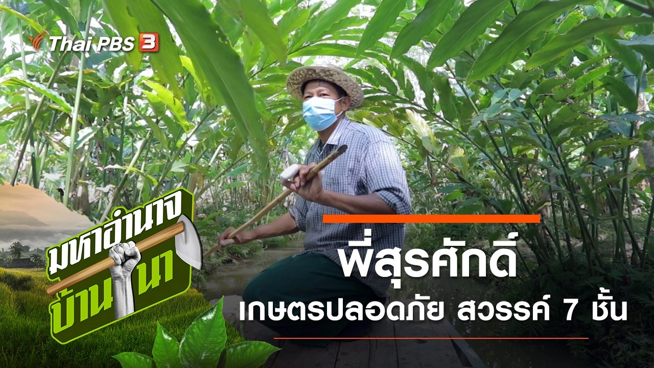 พี่สุรศักดิ์ เกษตรปลอดภัย สวรรค์ 7 ชั้น