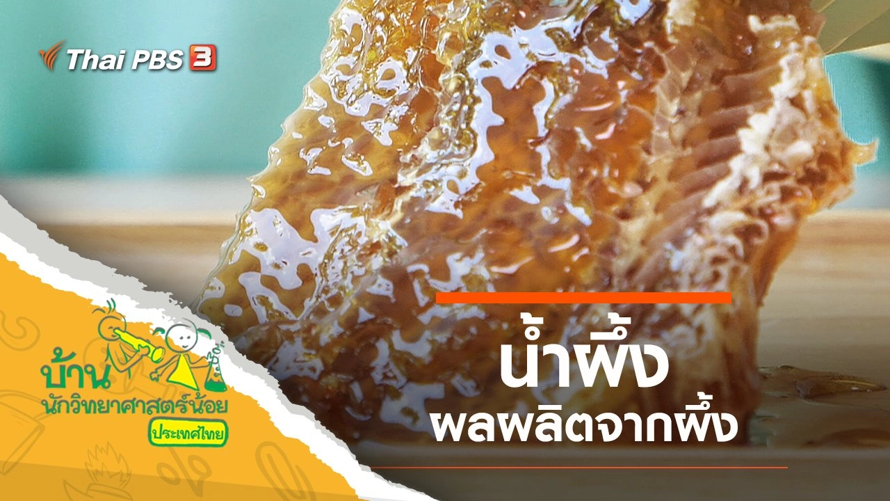 ความลับของน้ำผึ้ง