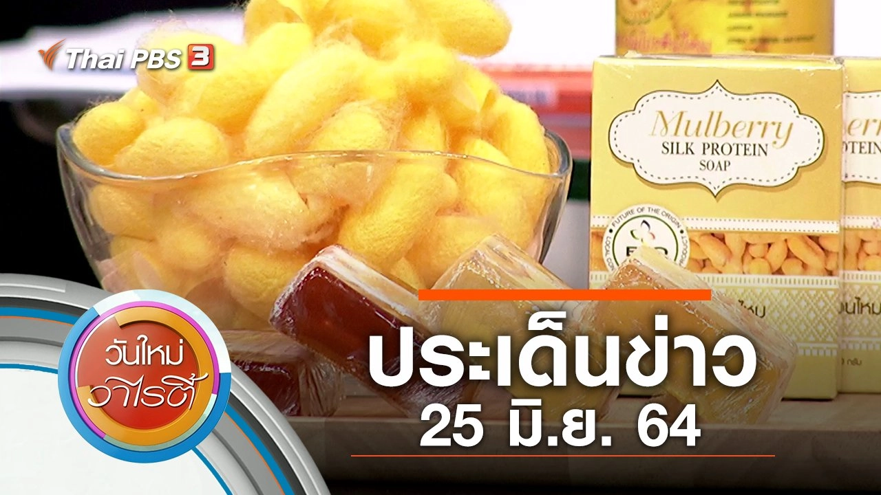 ประเด็นข่าว (25 มิ.ย. 64)