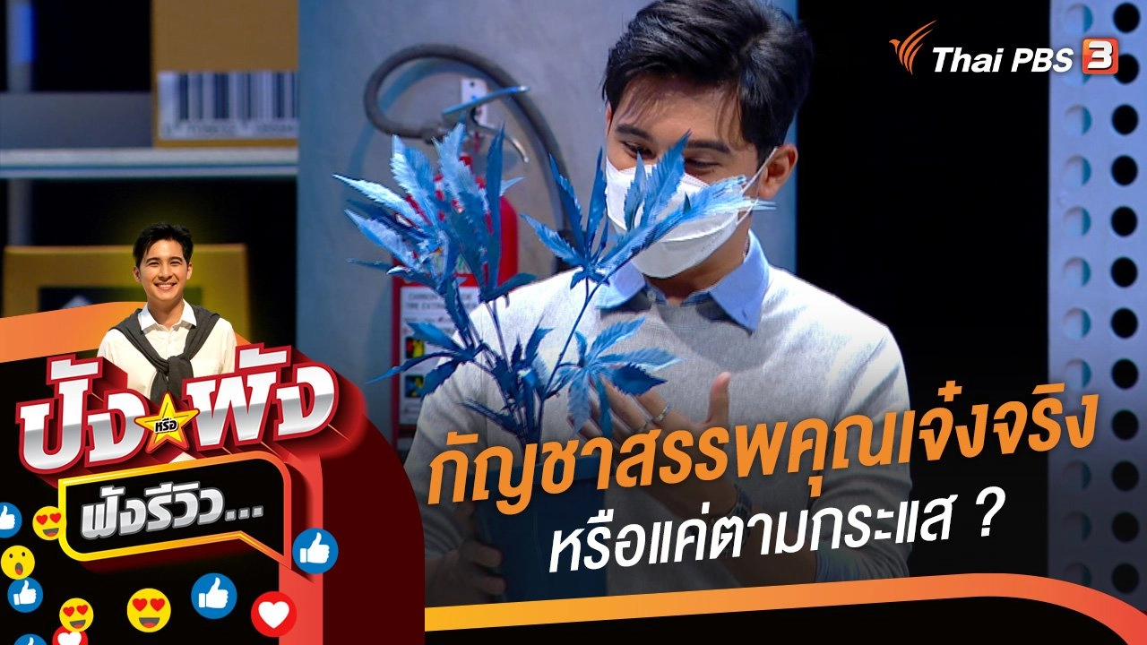 กัญชาสรรพคุณเจ๋งจริง หรือแค่ตามกระแส ?