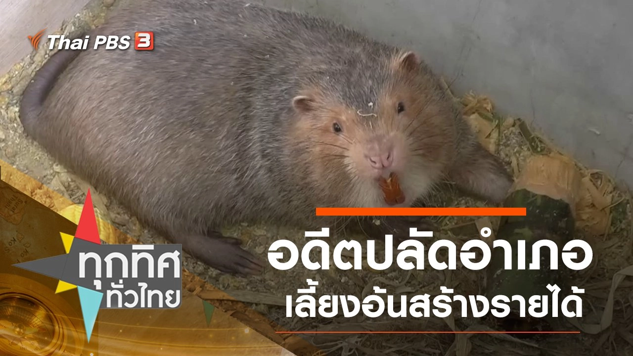 อดีตปลัดอำเภอเลี้ยงอ้นสร้างรายได้