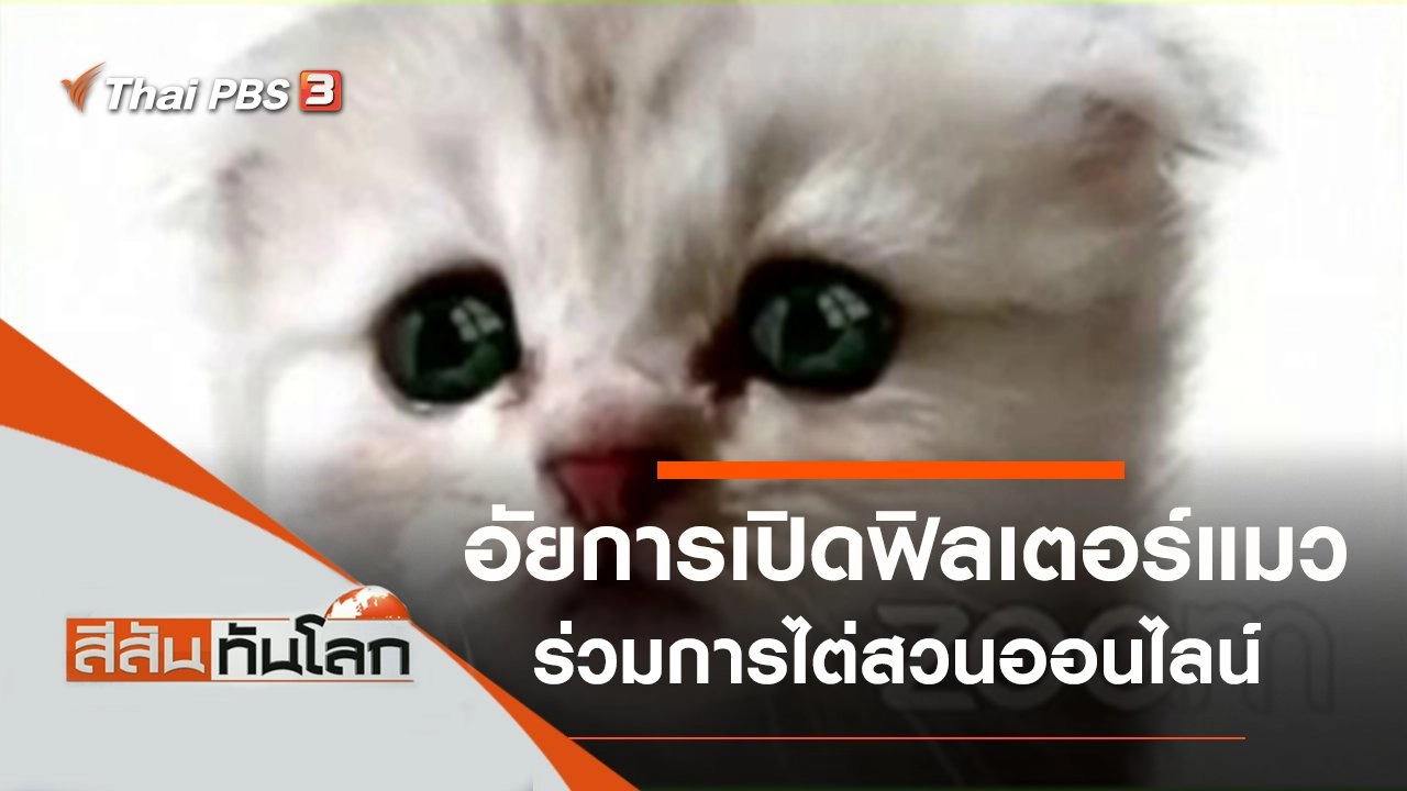 ประเด็นข่าว (13 ก.พ. 64)