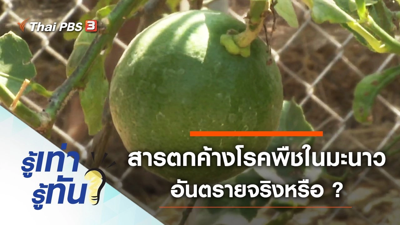 สารตกค้างจากโรคพืชในมะนาว อันตรายจริงหรือ ?