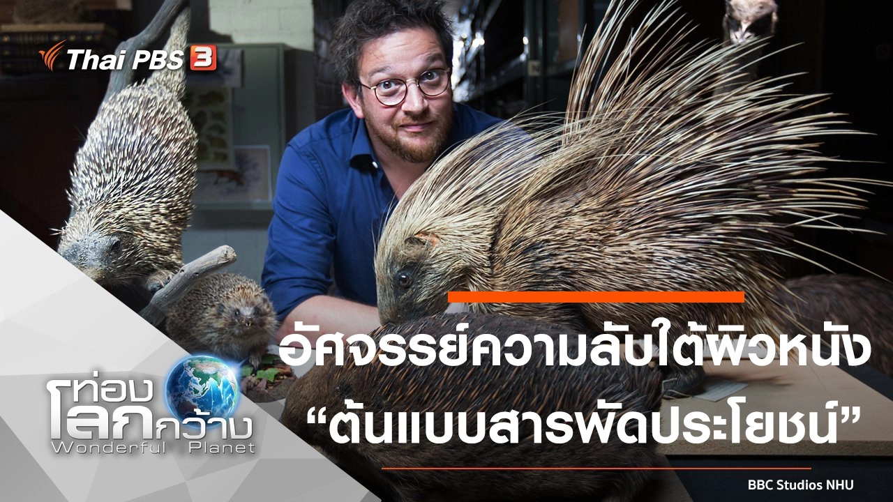 อัศจรรย์ความลับใต้ผิวหนัง ตอน ต้นแบบสารพัดประโยชน์