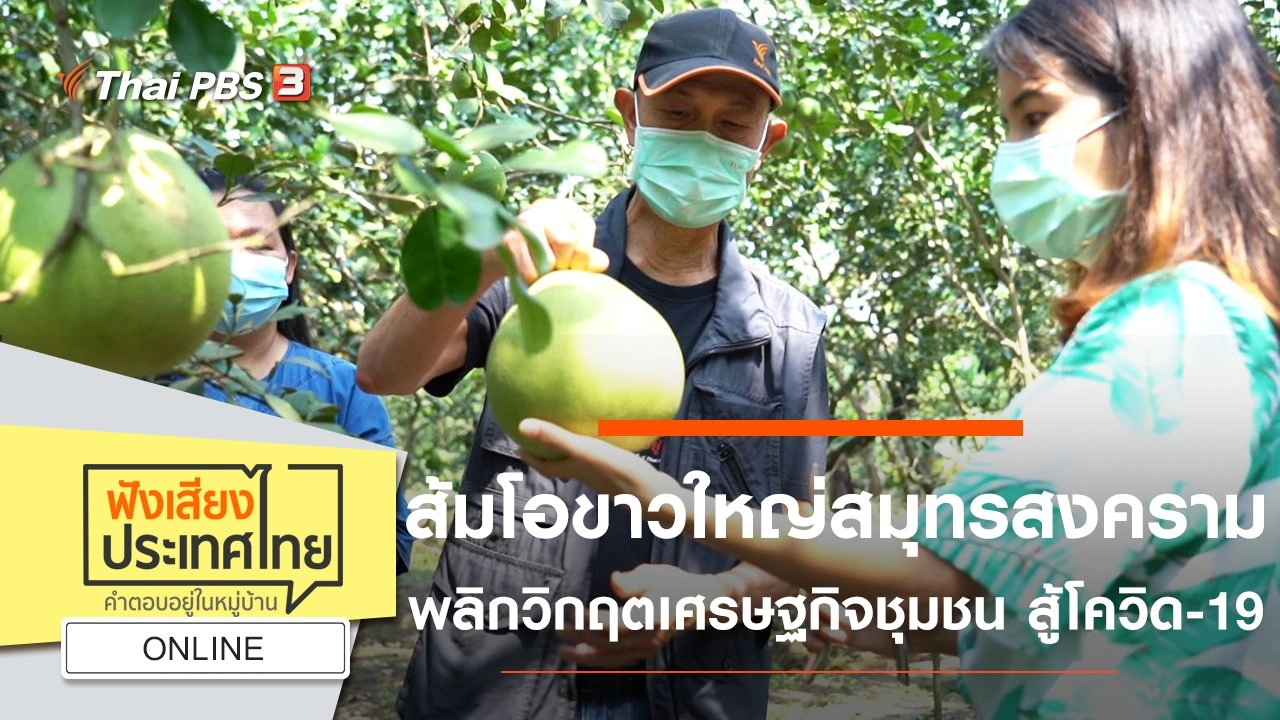 Online : ส้มโอขาวใหญ่สมุทรสงครามพลิกวิกฤตเศรษฐกิจชุมชน สู้โควิด-19