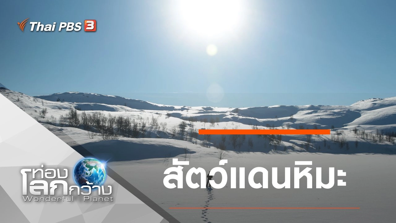 สัตว์แดนหิมะ