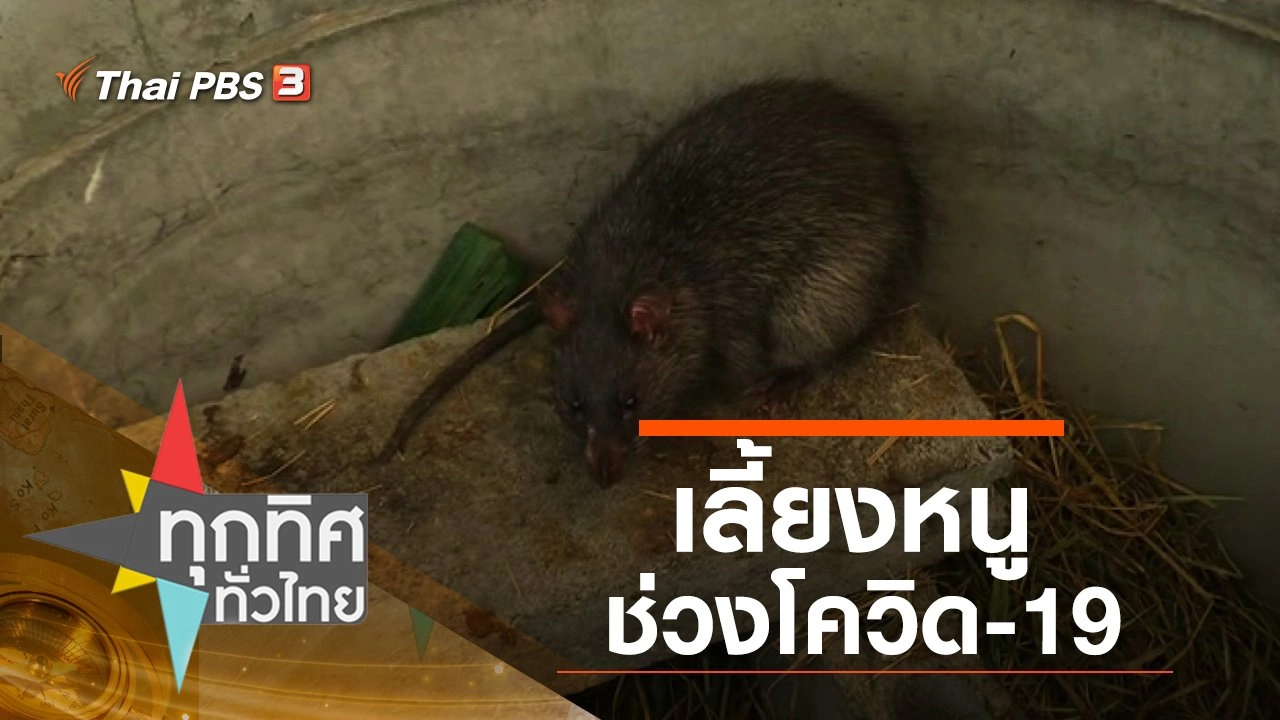 ประเด็นข่าว (23 ก.พ. 64)