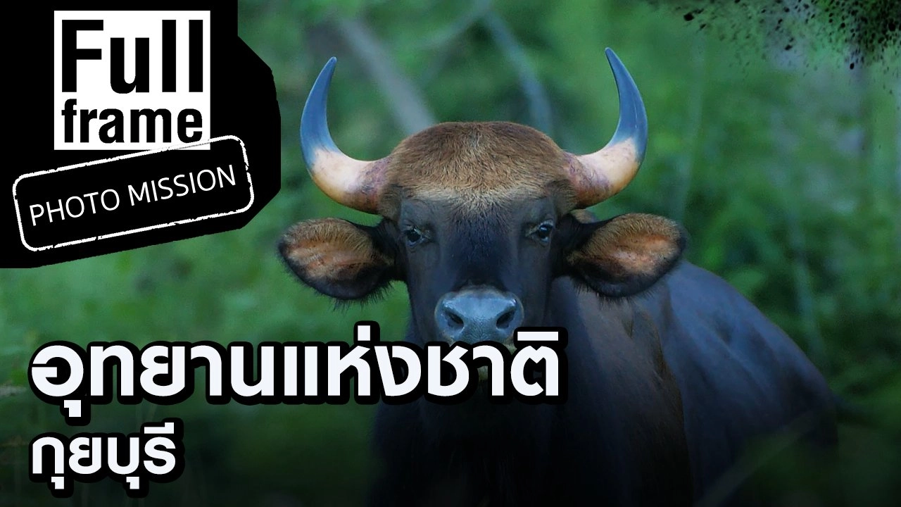 อุทยานแห่งชาติกุยบุรี