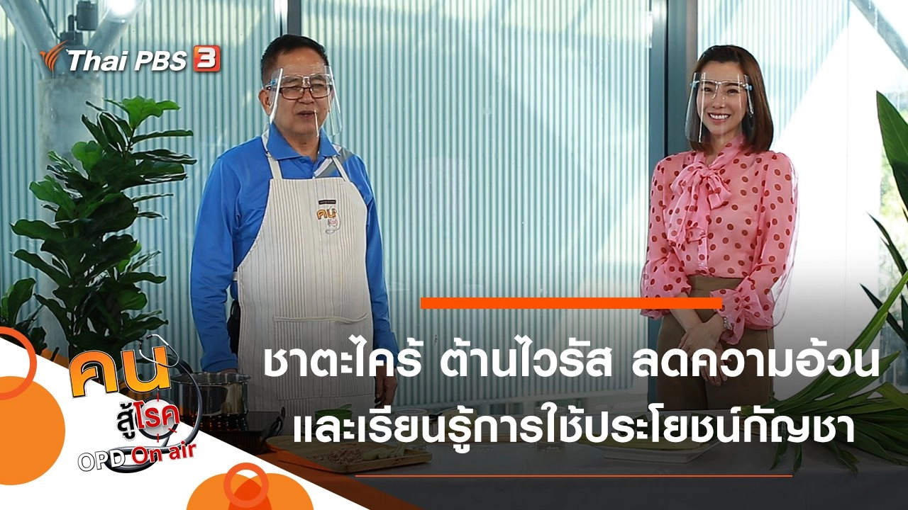 ชาตะไคร้ ต้านไวรัส ลดความอ้วน, เรียนรู้ขอบเขตการใช้ประโยชน์จากกัญชา