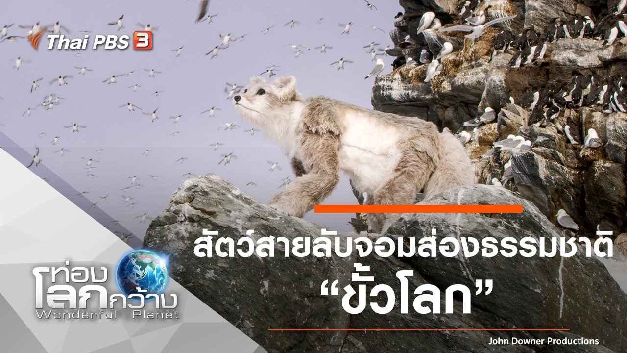 สัตว์สายลับจอมส่องธรรมชาติ ตอน ขั้วโลก