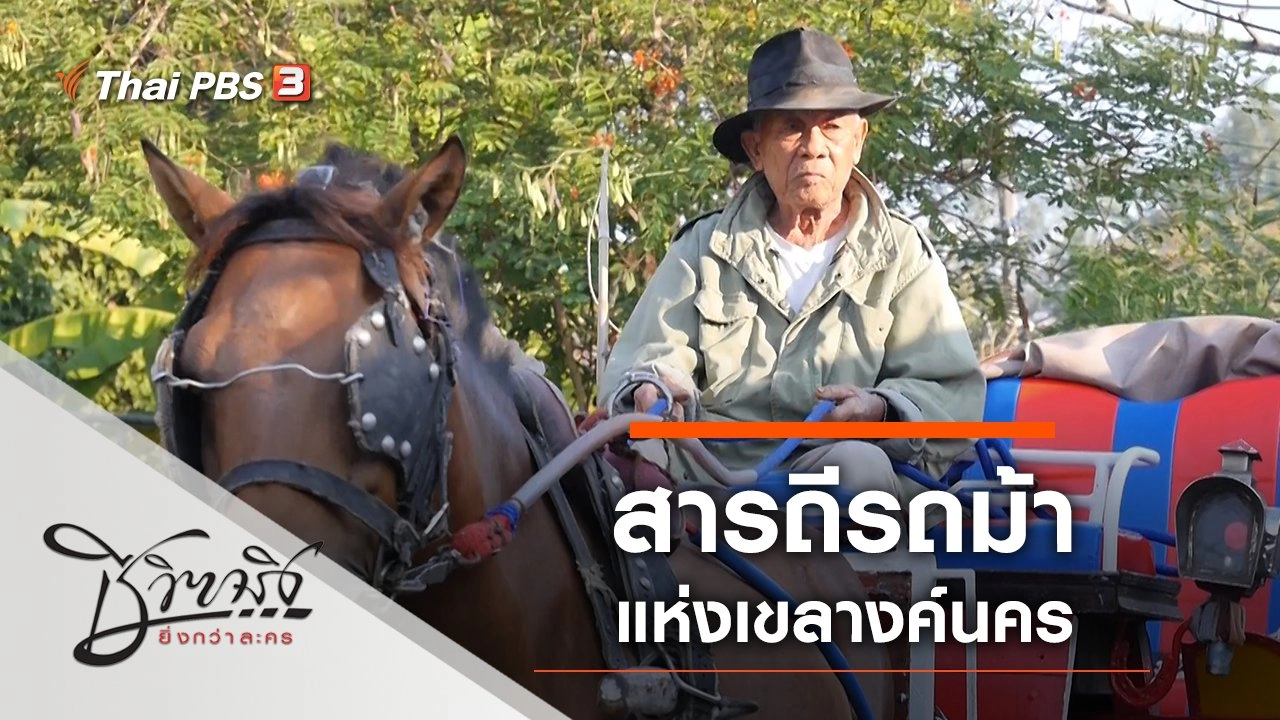 สารถีรถม้าแห่งเขลางค์นคร