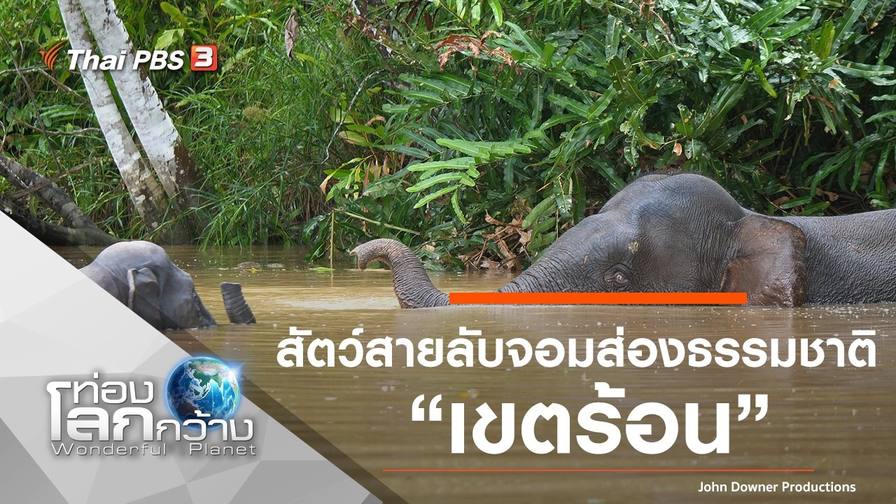 สัตว์สายลับจอมส่องธรรมชาติ ตอน เขตร้อน