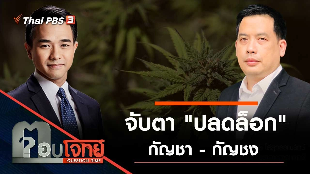 จับตา "ปลดล็อก" กัญชา - กัญชง