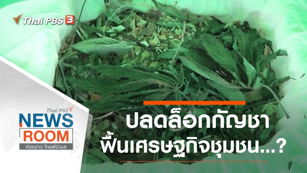 ปลดล็อกกัญชา  ฟื้นเศรษฐกิจชุมชน ...?