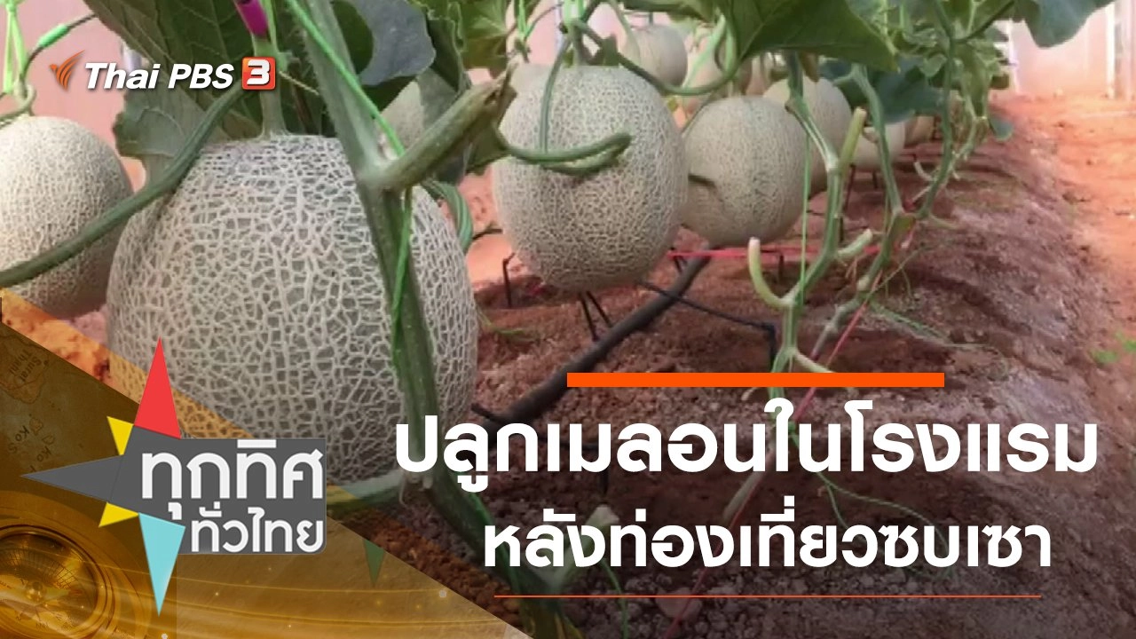 ทุกทิศทั่วไทย