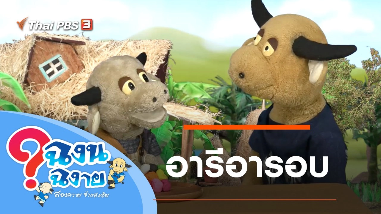 อารีอารอบ